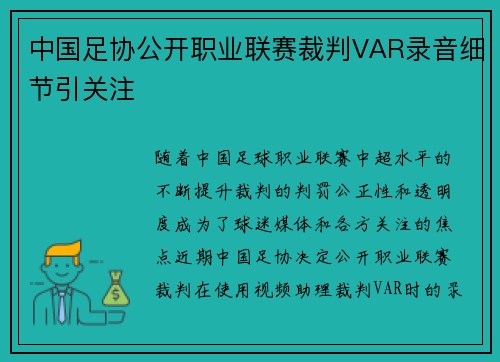 中国足协公开职业联赛裁判VAR录音细节引关注 中国足协公开职业联赛裁判VAR录音细节引关注
